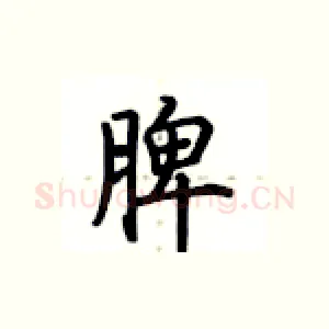 脾