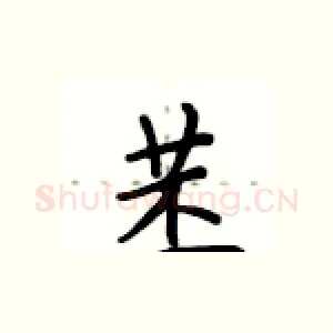 苤