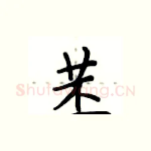 苤
