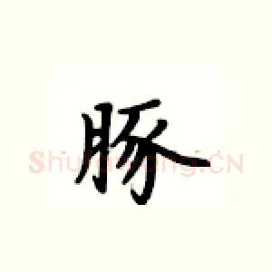 豚
