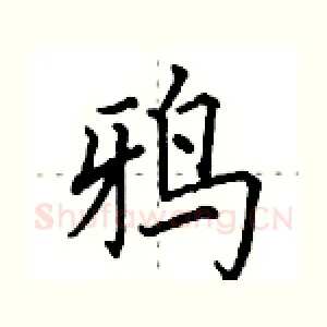 鸦
