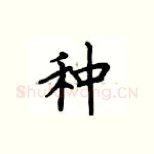 种