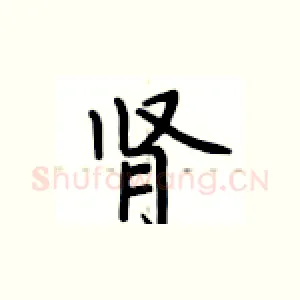 肾