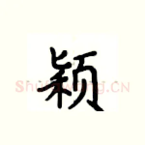 颖