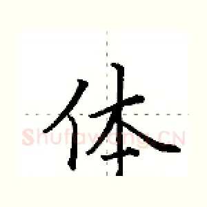 体