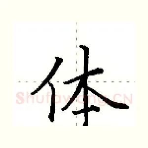 体