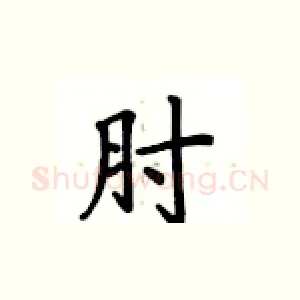 肘