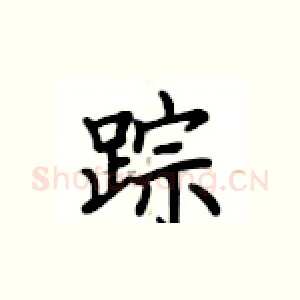 踪