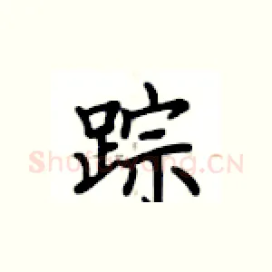 踪