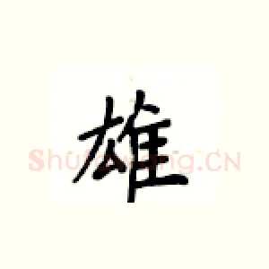雄