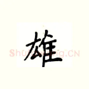 雄