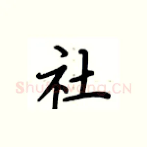 社