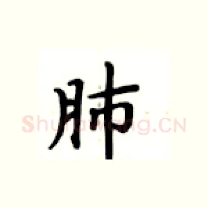 肺