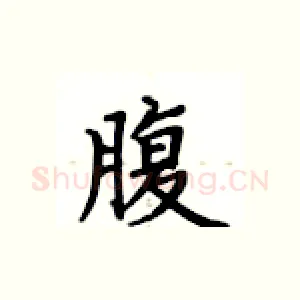 腹
