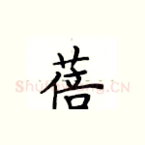 蓓