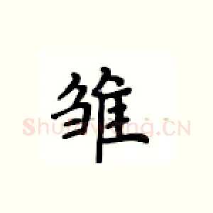 雏