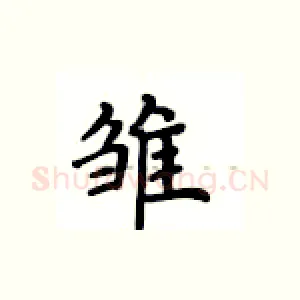 雏