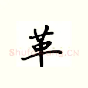 革