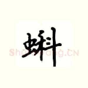 蝌