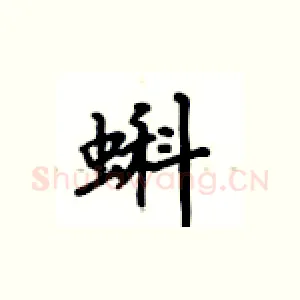 蝌