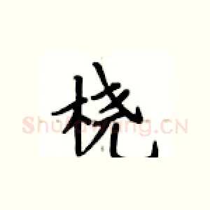 桡