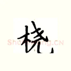 桡
