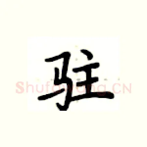 驻