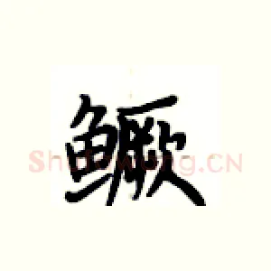鳜