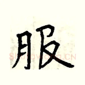 服
