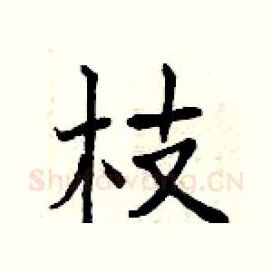 枝