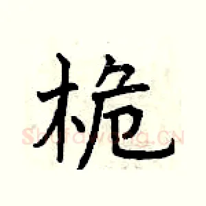 桅