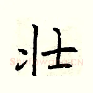 壮