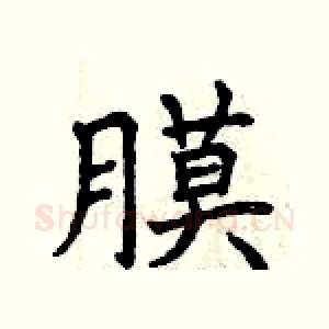 膜