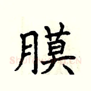 膜