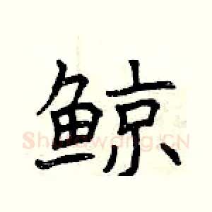 鲸