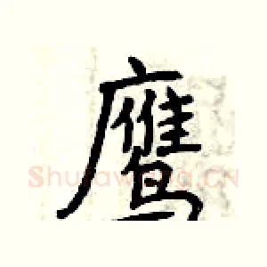 鹰