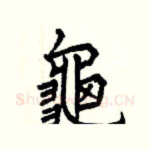 龜