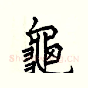 龜