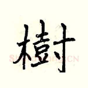樹