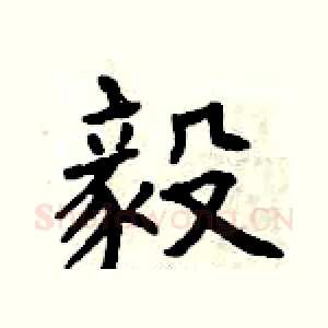 毅