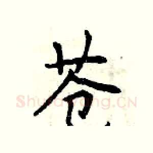 苍
