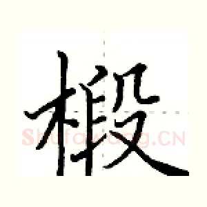 椴