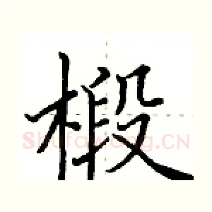椴