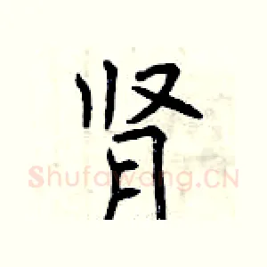 肾