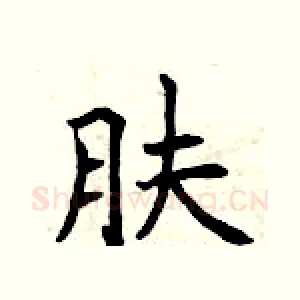 肤