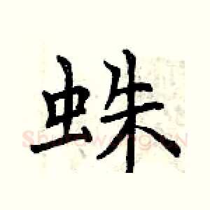 蛛