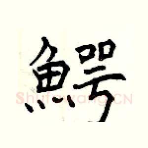 鰐