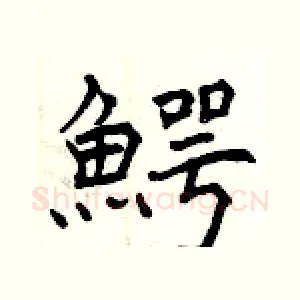 鰐