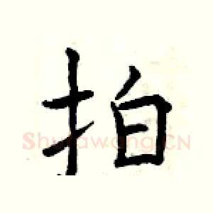 拍