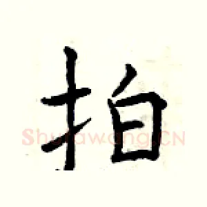 拍